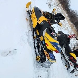 Meet your Posher, Jessie